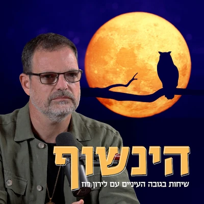 הינשוף - The Owl